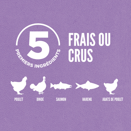 ORIJEN pour chaton 1.8kg (4lbs) – Image 3