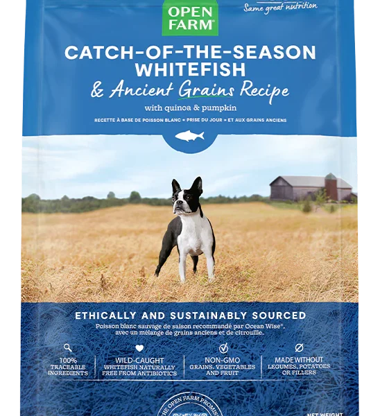 Open Farm pour chien aux grains anciens poisson blanc