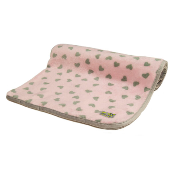 Petite Pistache - Couverture en peluche | Chat et petit chien - 35" x 28"