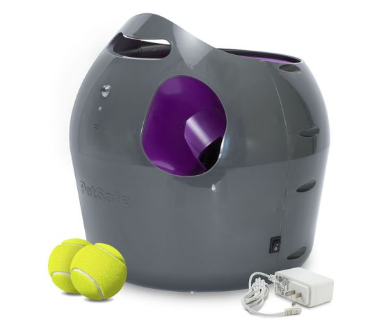 Petsafe - Jouet pour chien - Lance-balles automatique