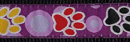 Hunter - Collier Nylon - Chien | 3/8" x 6"-9" - Pattes mauve