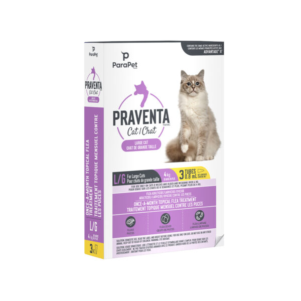 Praventa - Traitement topique mensuel contre les puces | Chats de grande taille 4 kg ou plus