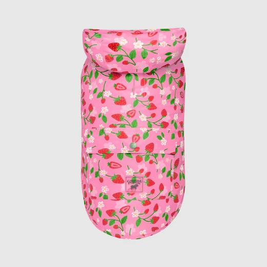 Canada Pooch - Poncho de pluie | Chien - Fraises