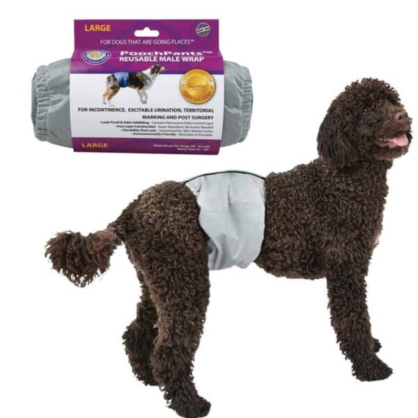 Pooch Pants - Bande restrictives réutilisable | Chien mâle