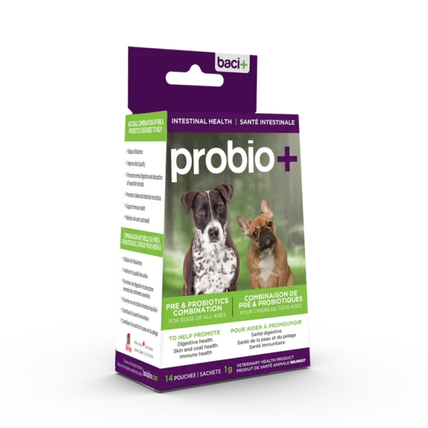 Baci+ Pré et probiotiques - Prévention et maintien | Chiens