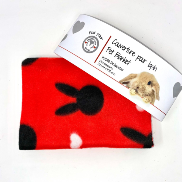 Les petits lapins d'amour - Doudou pour petits animaux | Assorti