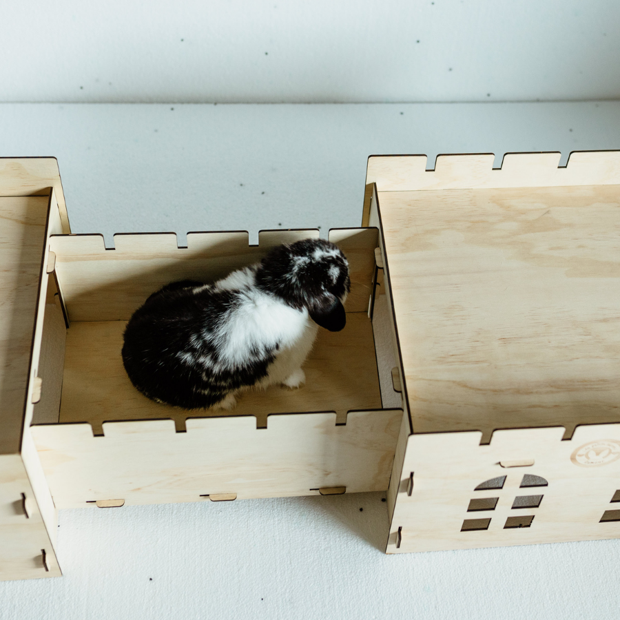 Les petits lapins d'amour - Le Château – Image 5