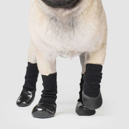 Canada Pooch - Chaussette anti-dérapantes pour chien | Noir - Pqt 4