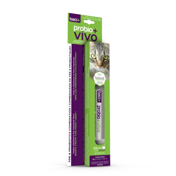 Baci+ Solution Pâte pré et probiotiques | Chats