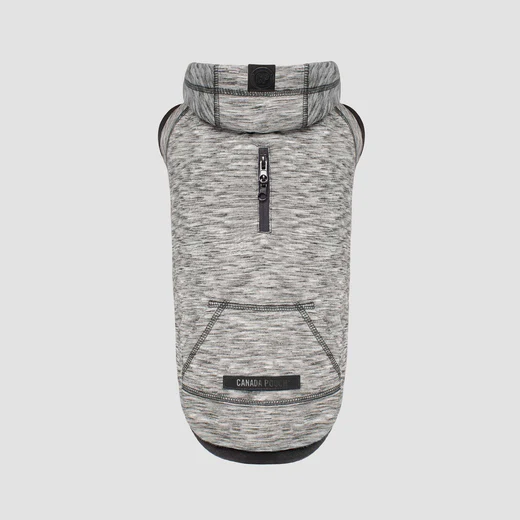 Canada Pooch - Sweat à capuche Spacedye Hero | Gris