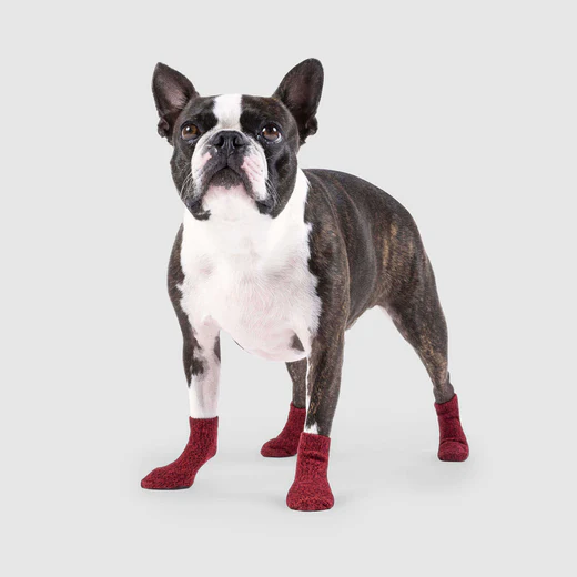 Canada Pooch - Chaussettes anti-dérapantes pour chien | Rouge - Pqt 4 – Image 3