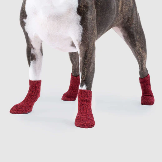 Canada Pooch - Chaussettes anti-dérapantes pour chien | Rouge - Pqt 4 – Image 2