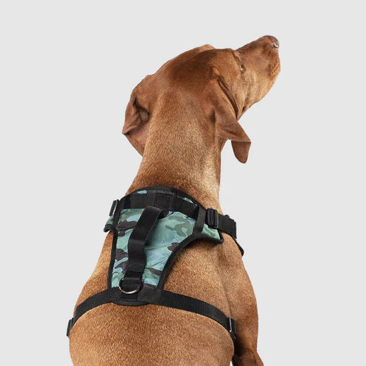 Canada pooch - Everything Harness - Harnais résistant à l'eau pour chiens | Camouflage – Image 3