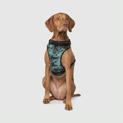 Canada pooch - Everything Harness - Harnais résistant à l'eau pour chiens | Camouflage – Image 2