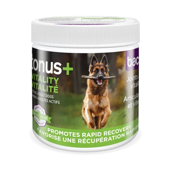 Baci+ Tonus+ Santé intestinale, Vitalité, Récupération, Articulations | Chiens