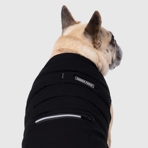 Canada Pooch - Manteau stretch élégant et résistant à l'eau | Noir – Image 3