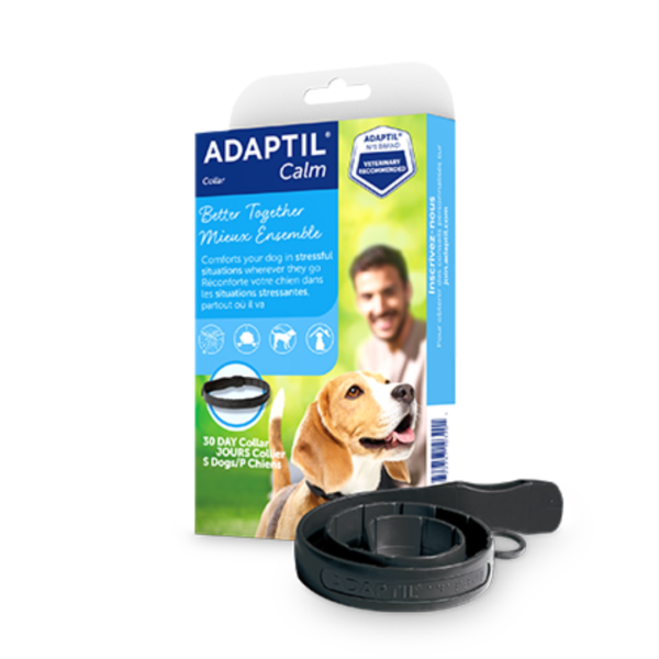 ADAPTIL Calm collier | Chien Petit-Moyen