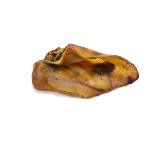 Wawwaw - Oreille de truie pour chien – Image 2