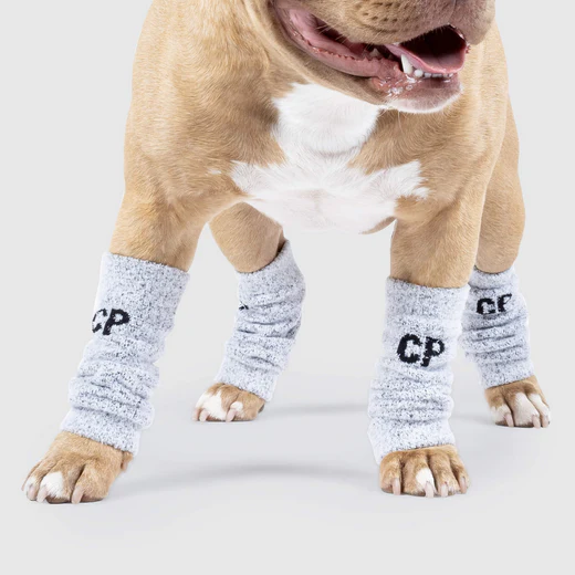Canada Pooch - Jambières pour chien | Gris - Pqt 4 – Image 2