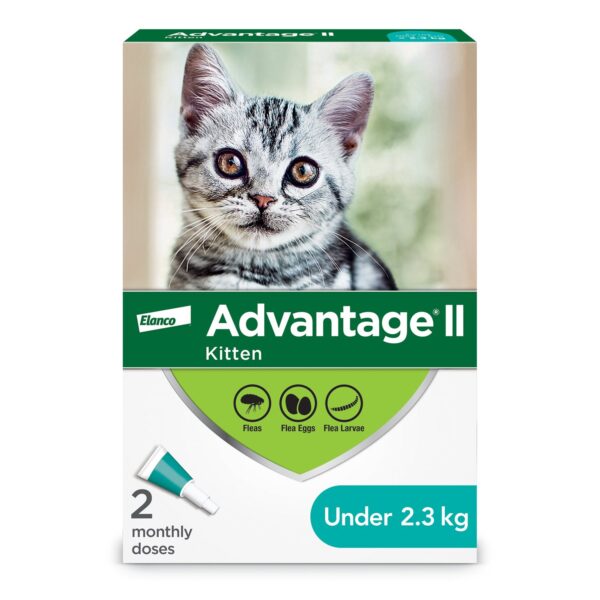 Advantage II - Traitement topique contre les puces et tiques | Chat et chaton