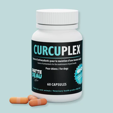Patte d'eau Bio - Curcuplex | Supplément de curcuma - 60 capsules