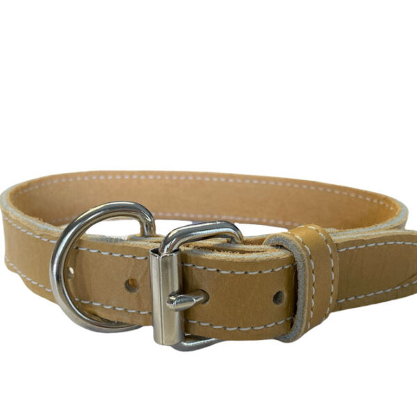 Arizona - Collier cuir latigo simple 5/8"x 12" | Tan