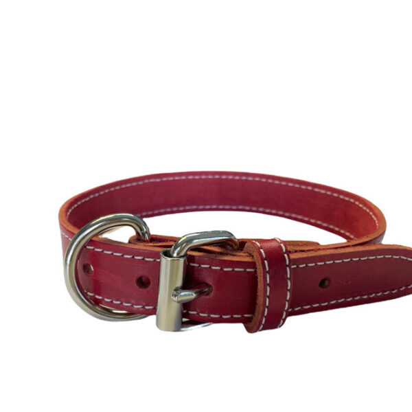 Arizona - Collier cuir latigo simple 3/8"x 8" | Rouge
