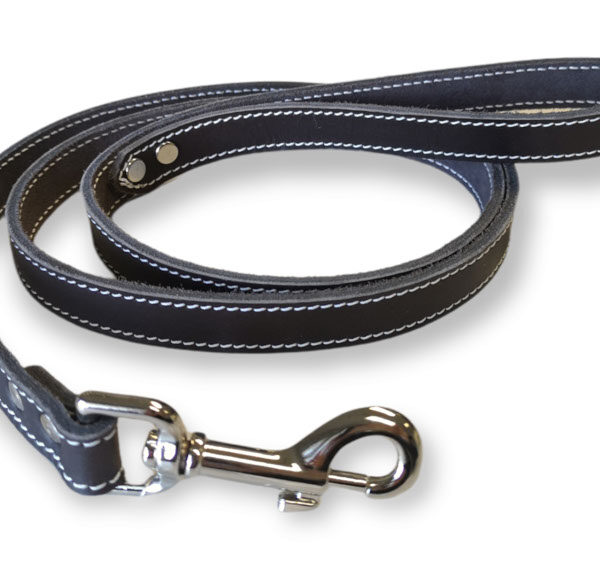 Arizona - Laisse de cuir simple 1/2'' x 72'' | Brun