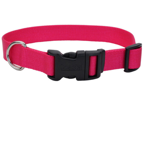 Coastal - Collier ajustable en nylon Rose 1/2'' (8'' à 12'') – Boucle de plastique pour chien