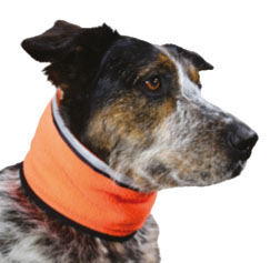 Muttravel - Vizinek Cache-Cou pou chien | Orange - Visible pour la chasse