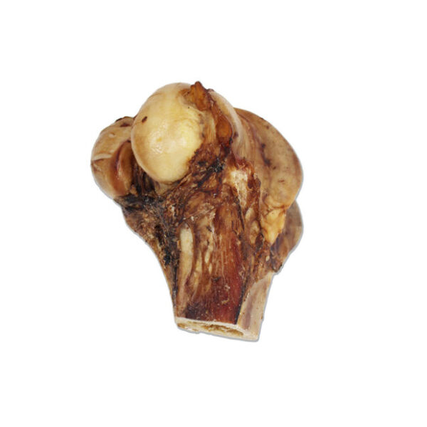 Open range - Jarret de boeuf large