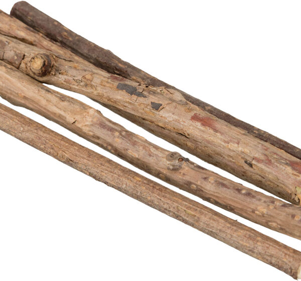 Trixie - Bâtons à mâcher matatabi