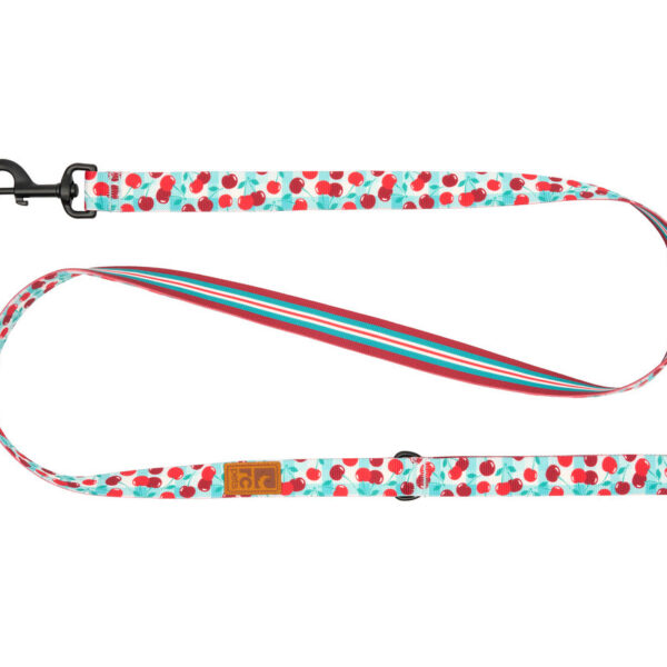 Rc Pets - Laisse éco pour chien