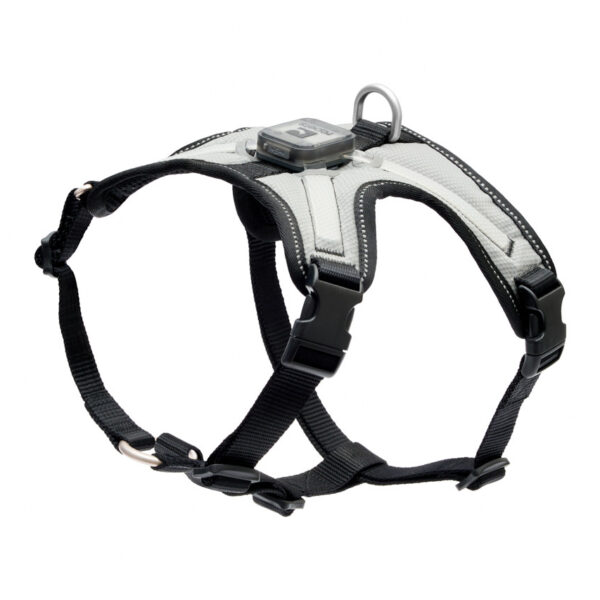 Rc Pets - Harnais Lumineux | Ajustable à 4 points | 4 options de couleur