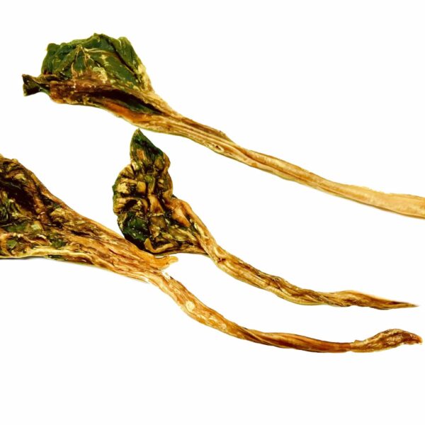 Nature's Own - Tendon de kangourou | 150g