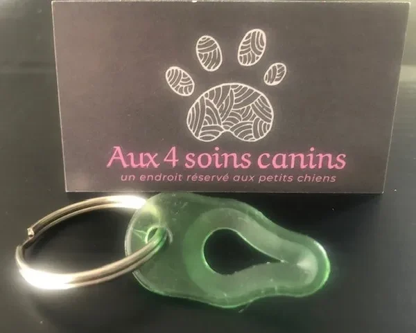 Aux 4 Soins Canin - Enlève tique avec attache à porte-clés
