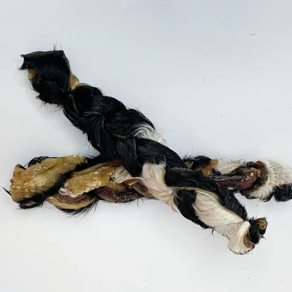 Grand Valley Quail - Tresse de peau de boeuf 12"