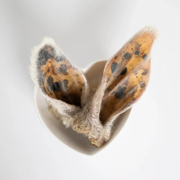 Grand Valley Quail - Oreilles d'agneau déshydratées