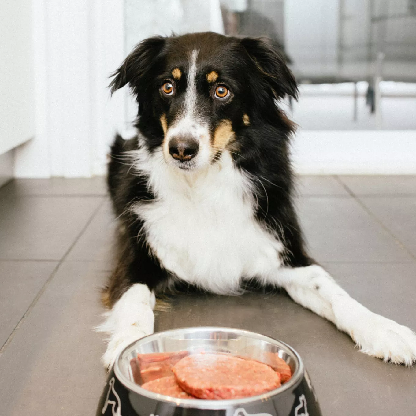 Faim museau recette a ingrédients limités Simplement dinde 24 médaillons (6lbs) – Image 2