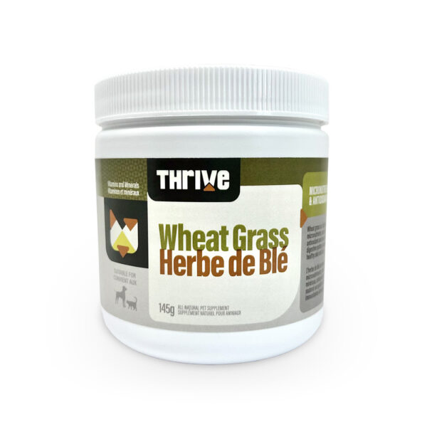 Thrive - Supplément naturel en poudre | Herbe de blé - 145g
