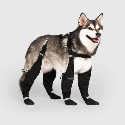 Canada Pooch - Bottes à bretelles | Noir – Image 2