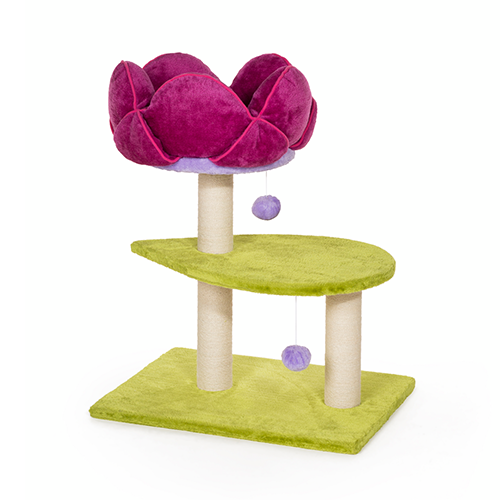 Prevue Hendryx - Arbre à chat en fleur