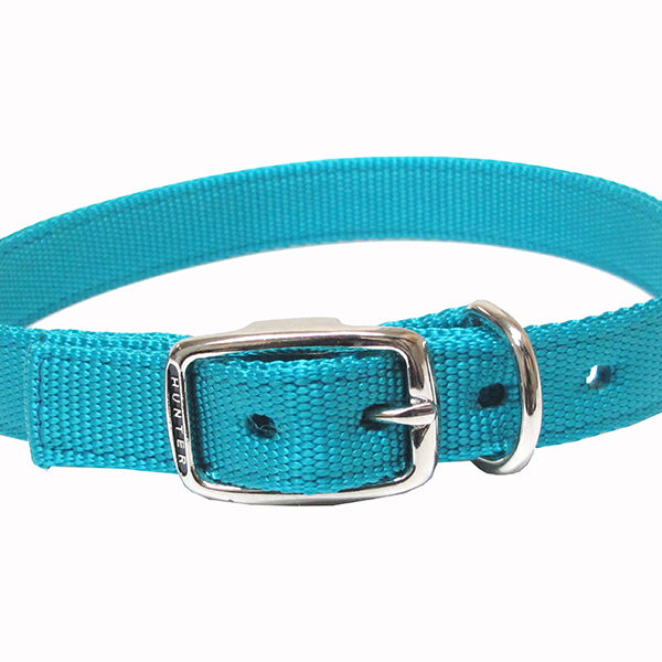Hunter - Collier simple Nylon - Chien | 1" x 20"