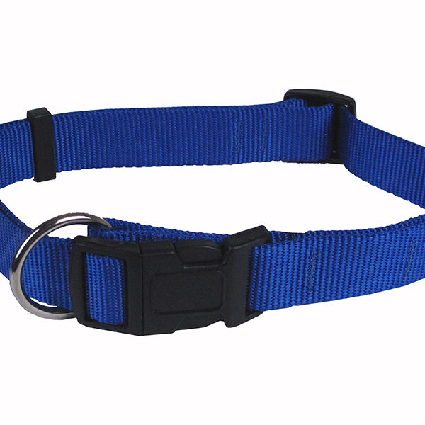 Hunter - Collier Nylon clip plastique - Chien | 3/4" x 13"- 19"