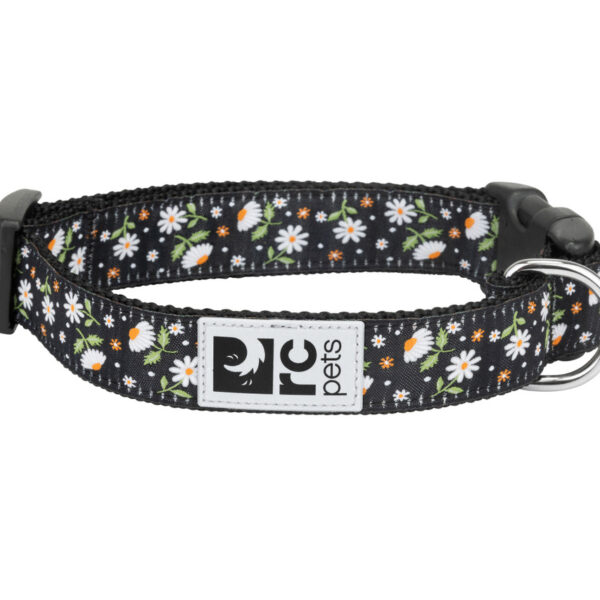 Rc Pets - Collier à motifs - Ajustable à clip | Chien - P