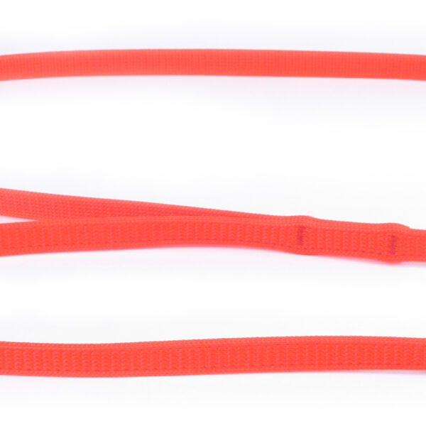 Hunter - Laisse Nylon - Chien | 3/8" x 4'