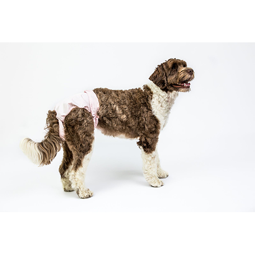 Pooch Pants - Couche réutilisable rose | Chien Femelle