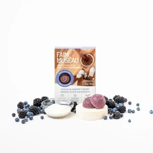 Faim museau collation gourmande Yogourt glacé aux bleuets