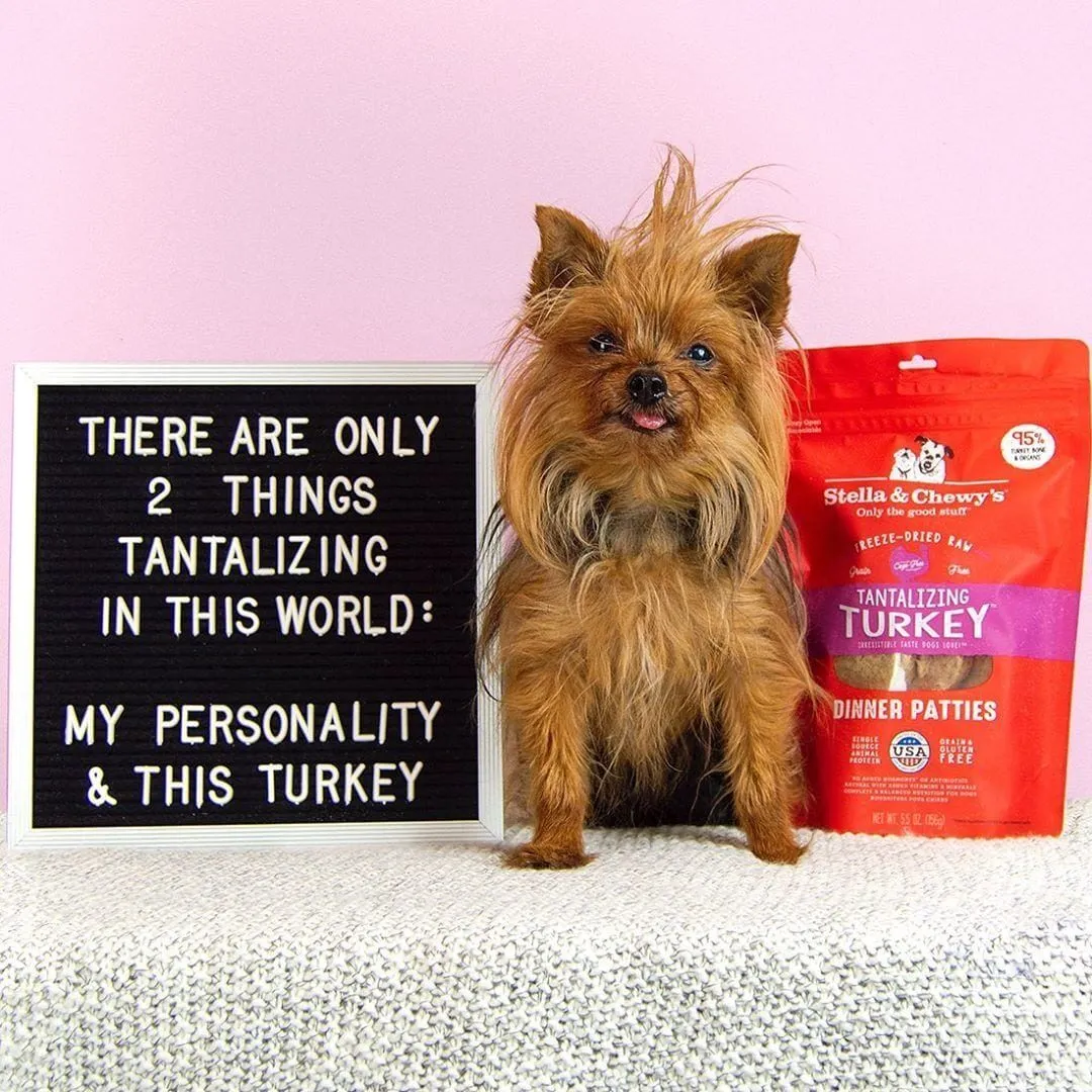Stella & Chewy's repas lyophilisé pour chien Dinde – Image 2