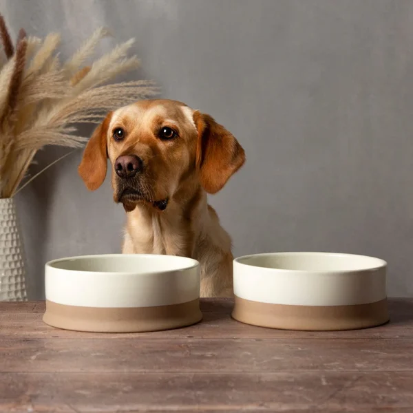Scruffs - Bol pour chien en céramique anti renversement | 16 cm